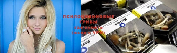 индика Навашино